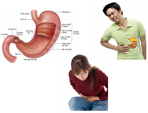 Tầm soát ung thư đường tiêu hóa thế nào cho hiệu quả?