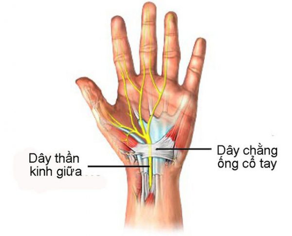 Tê mỏi chân tay là biểu hiện của bệnh gì? Có đáng lo không?