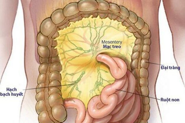 Thiếu máu mạc treo có nguy hiểm không?