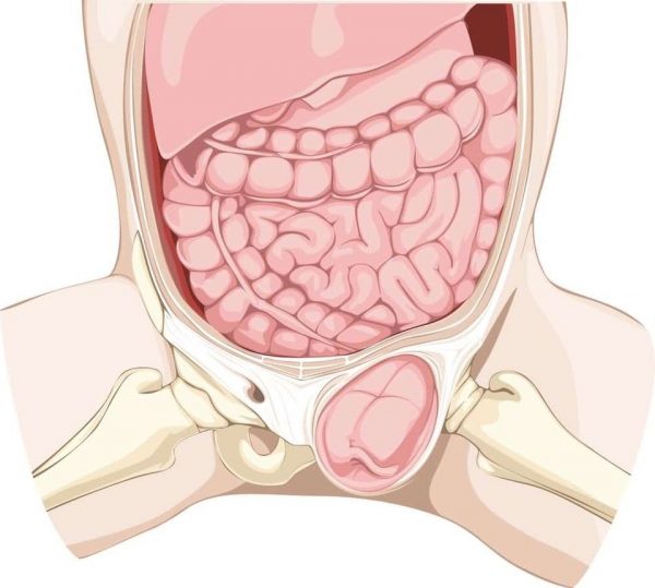 Thoát vị bẹn và 7 điều cần biết về căn bệnh này