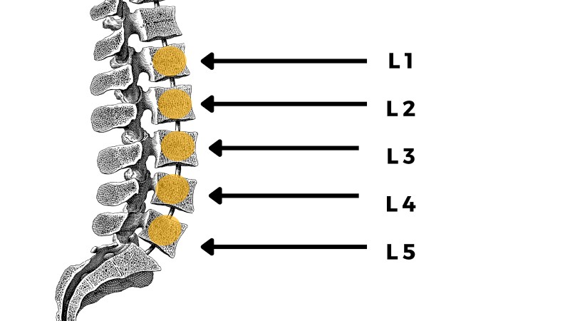 Thoát vị đĩa đệm L3 L4: Nguyên nhân, Triệu chứng và Điều trị