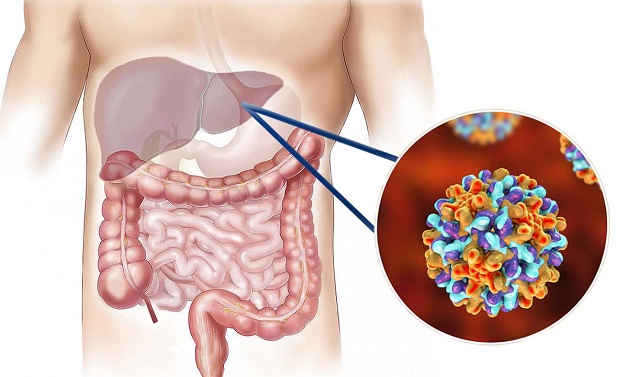 Thời gian chích ngừa viêm gan B cho trẻ em và người lớn