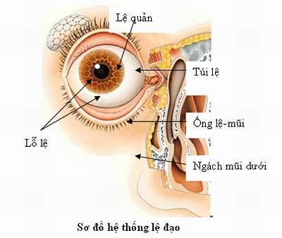 Thông lệ đạo: giải pháp giúp giải quyết bệnh tắc tuyến lệ