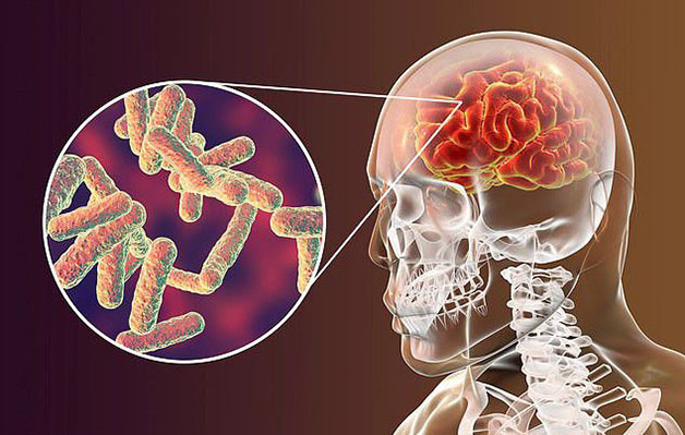 Tiêm phế cầu: Ai nên tiêm, tác dụng vắc xin phế cầu ra sao?