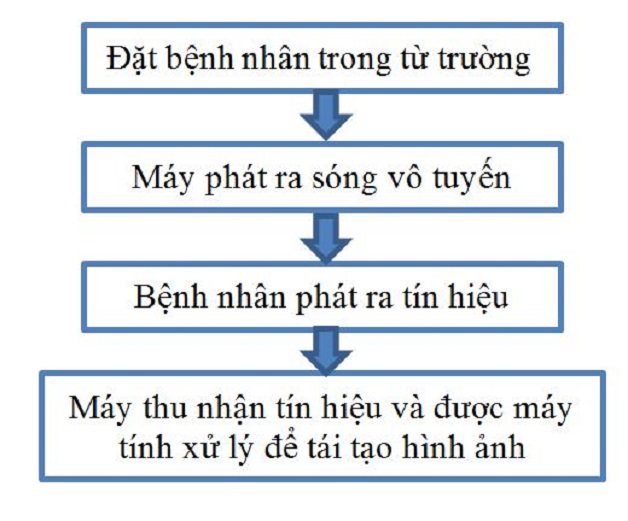 Tìm hiểu chụp cộng hưởng từ là gì?