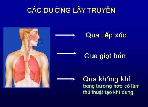 Tìm hiểu nguyên nhân gây bệnh lao phổi cần lưu ý phòng tránh