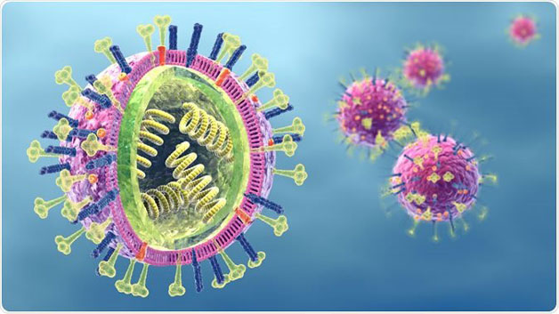 Tìm hiểu về cúm A H5N1 là gì và có nguy hiểm không?