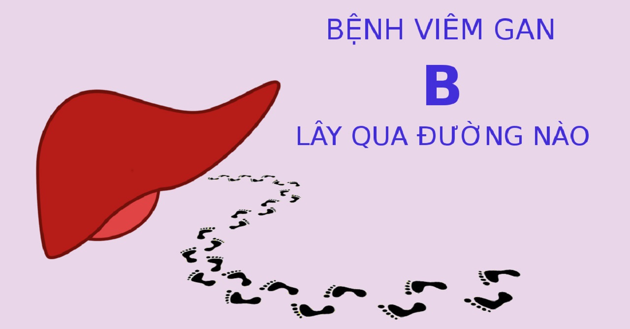 Tìm hiểu virus viêm gan B lây truyền qua đường nào?