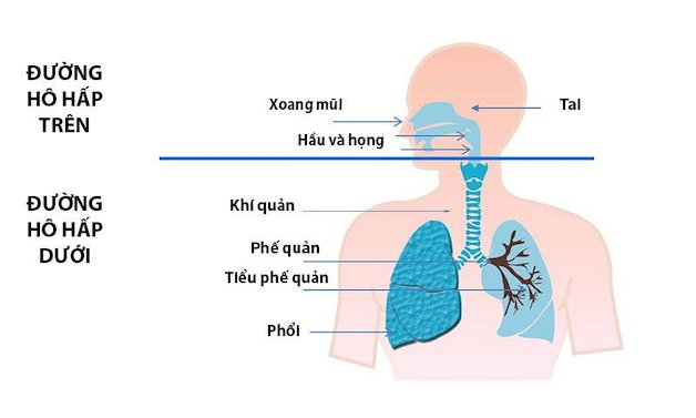 Trẻ bị viêm hô hấp trên: Mẹ đã biết điều trị và chăm sóc?