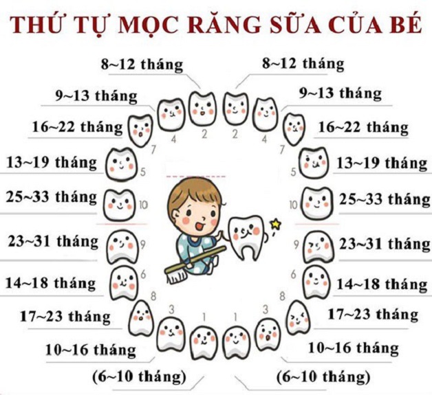 Trẻ biếng ăn khi mọc răng, mẹ cần chăm sóc thế nào?