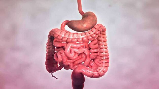 Triệu chứng cần biết của bệnh viêm ruột Crohn