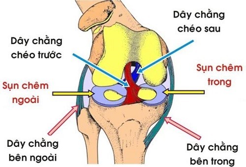 Triệu chứng giãn dây chằng đầu gối