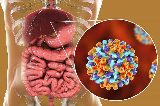 Triệu chứng viêm gan siêu vi B và cách điều trị tốt nhất