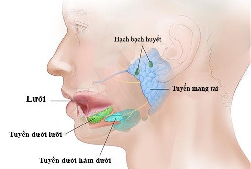 U tuyến nước bọt mang tai có nguy hiểm không?