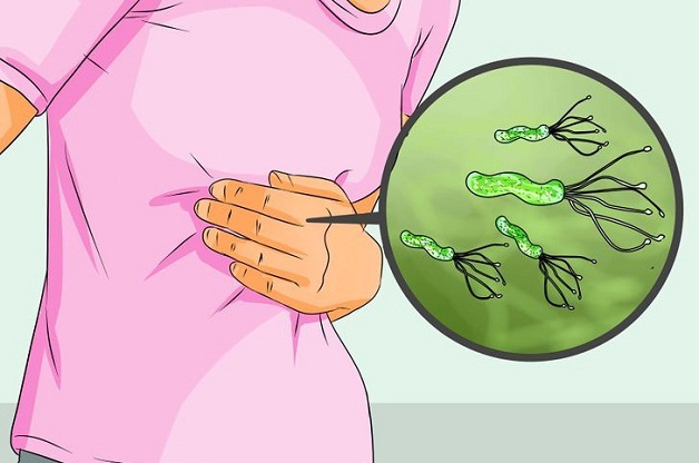 Vi khuẩn H pylori là gì: con đường lây nhiễm và phòng bệnh