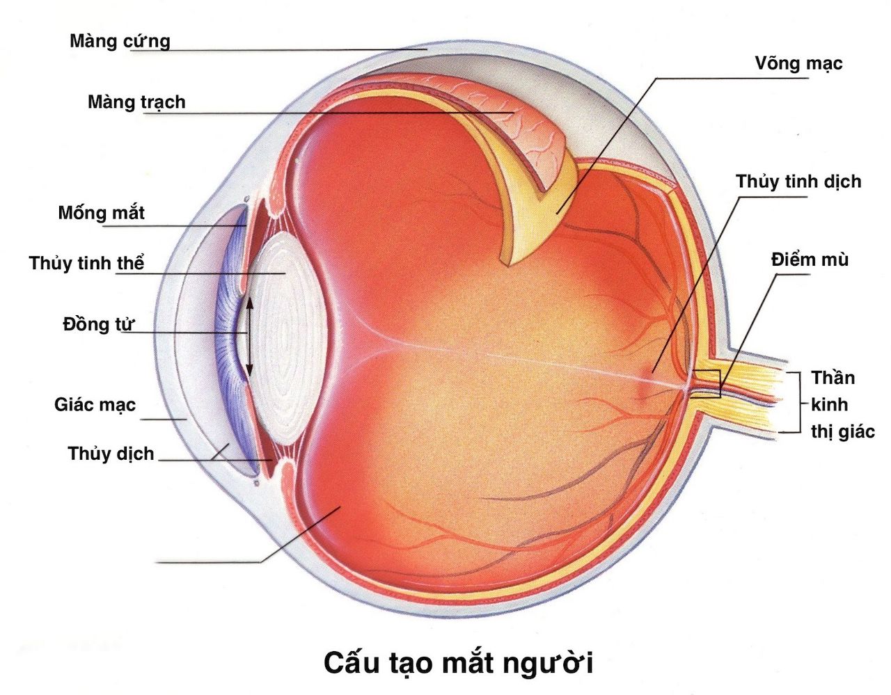 Vì sao viêm kết mạc lâu ngày không khỏi?