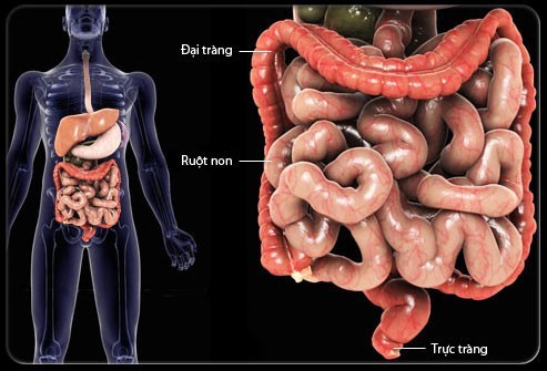 Viêm đại tràng khám ở đâu tốt?