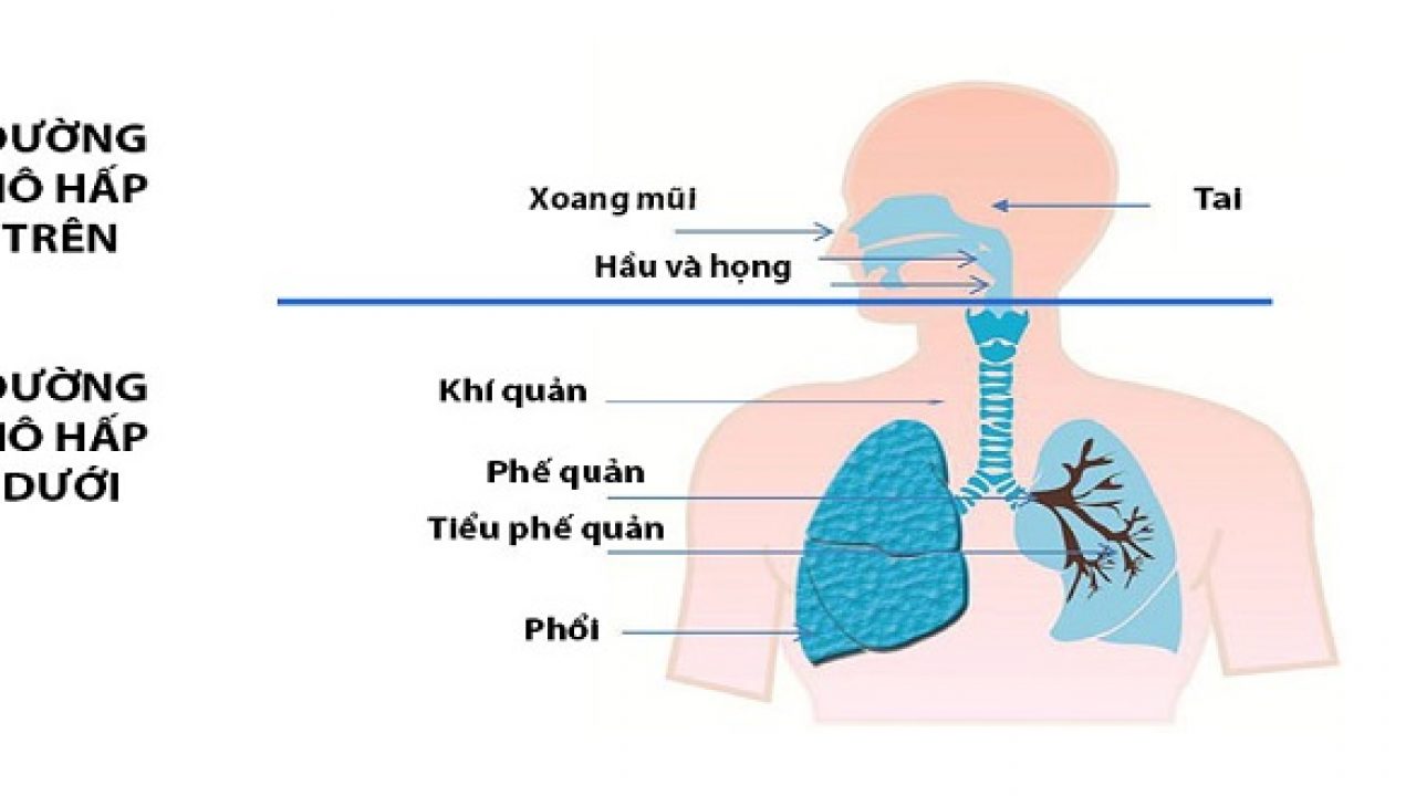 Viêm đường hô hấp trên khi mang thai