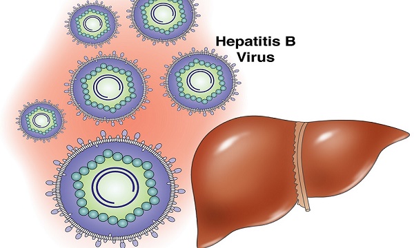 Viêm gan B có chữa khỏi không?