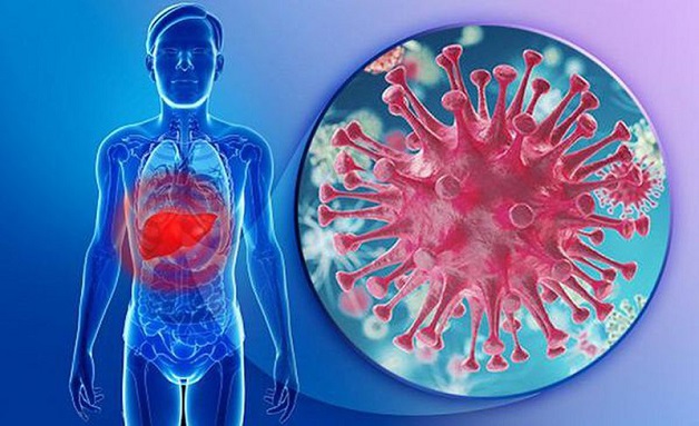 Viêm gan virus mạn: Phân loại, biểu hiện và cách điều trị