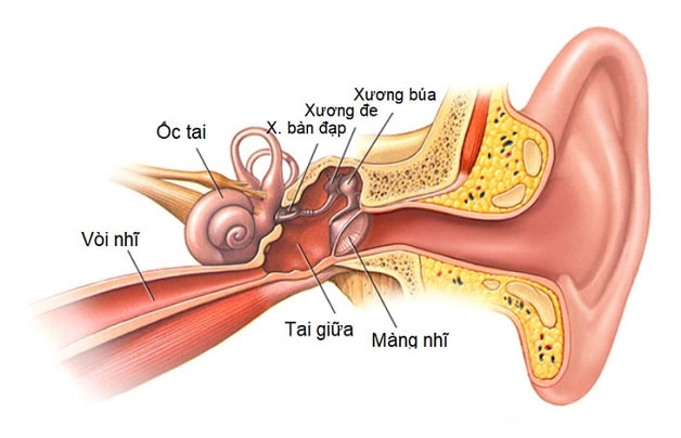 Viêm tai giữa ở trẻ em: Cách điều trị và phòng tránh