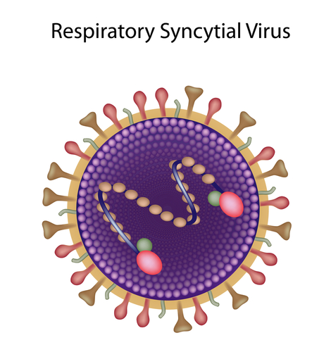 Virus hợp bào hô hấp (RSV): những điều có thể mẹ chưa biết