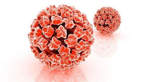 Virus HPV lây qua đường nào ung thư cổ tử cung