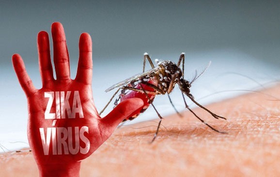 Virus Zika lan rộng 16 quận huyện Sài Gòn