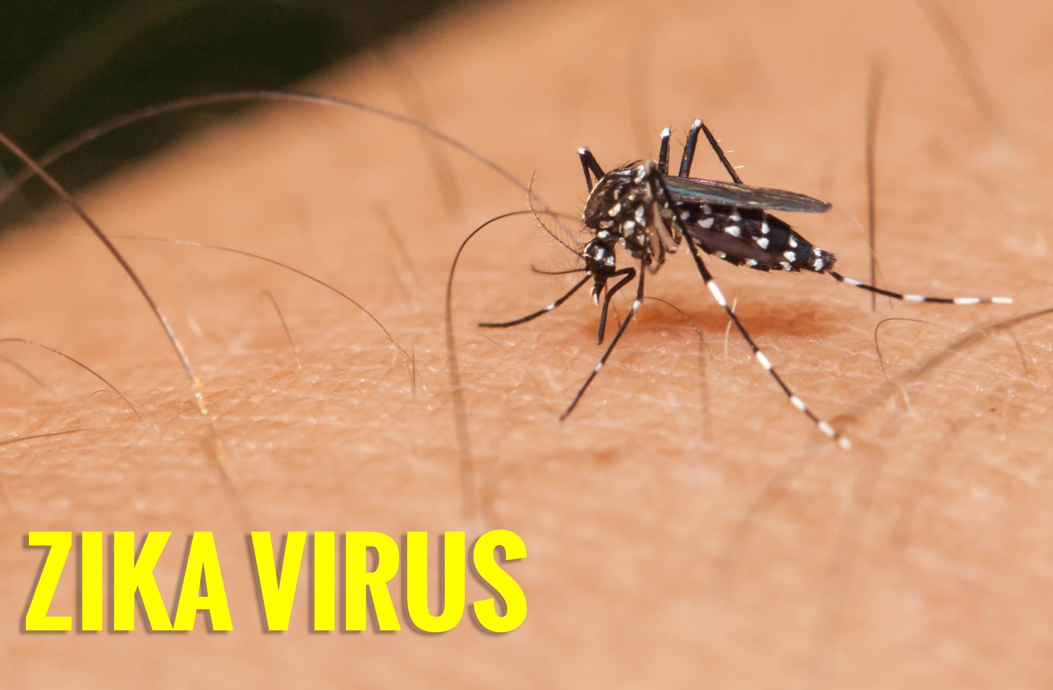 Virus Zika tấn công 17 quận huyện Sài Gòn