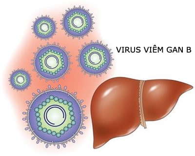 Xét nghiệm chẩn đoán viêm gan B gồm những gì?