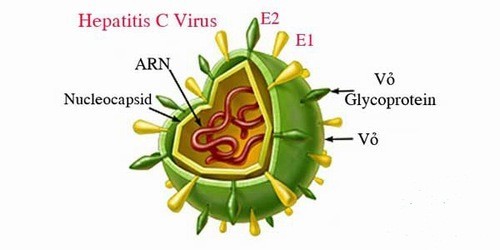 Xét nghiệm viêm gan C bao nhiêu tiền?