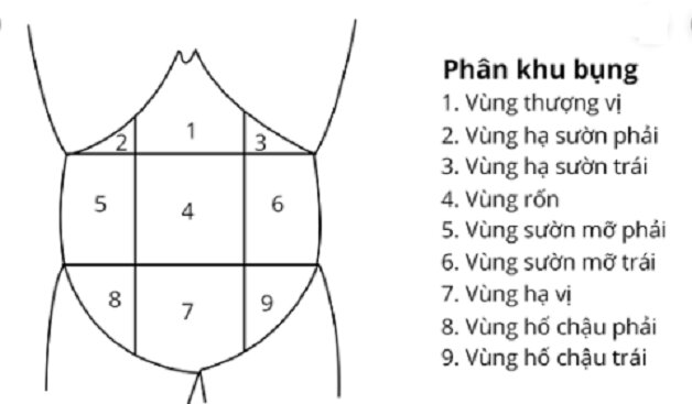 Xơ gan bệnh học: Những điều cần biết về bệnh xơ gan